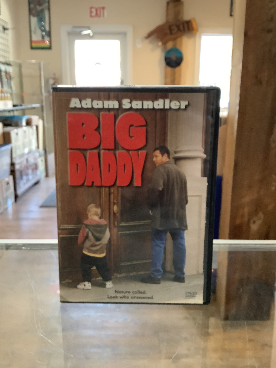 DVD - Big Daddy (Used)