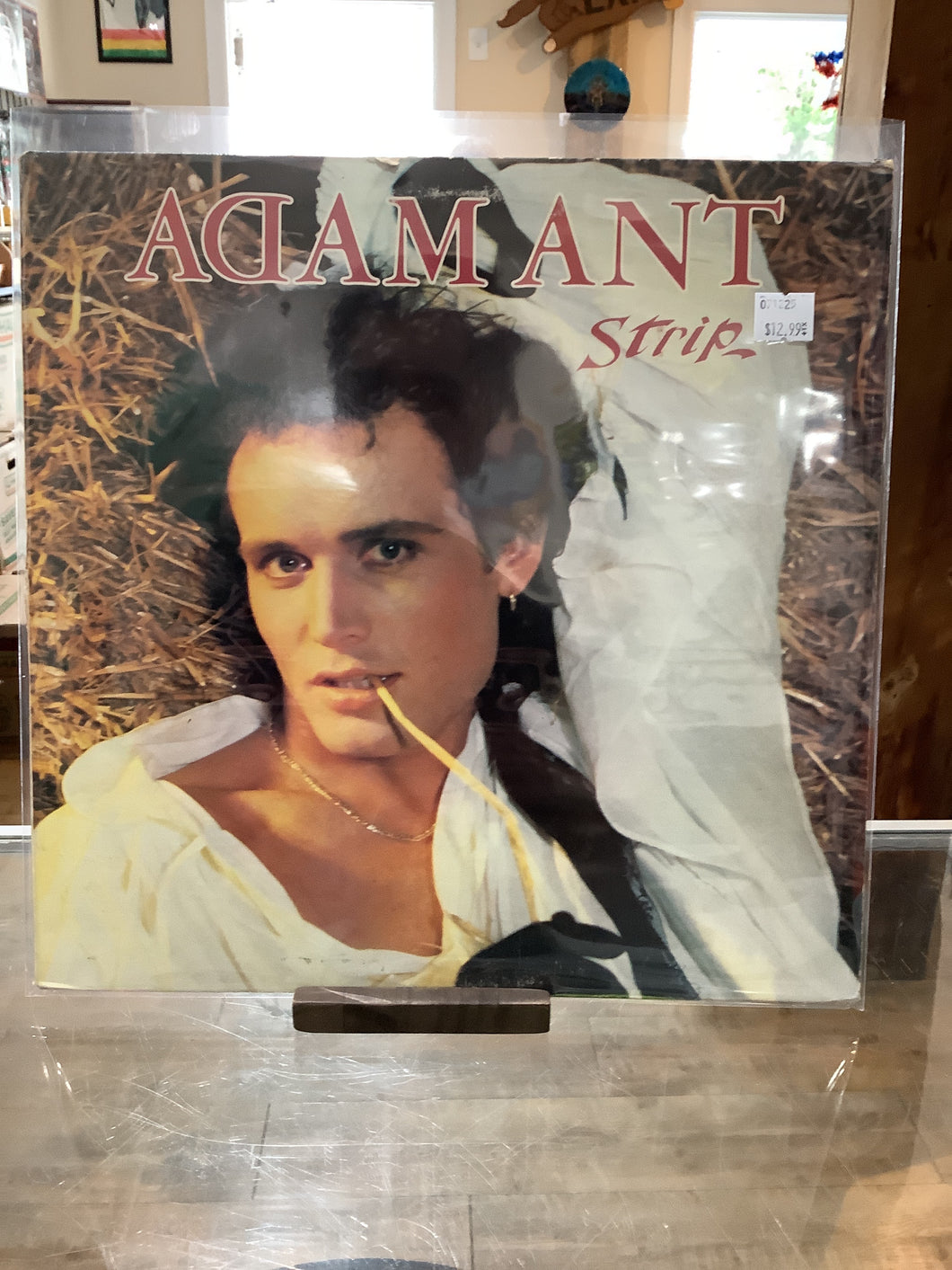 Adam Ant - Strip (Used)