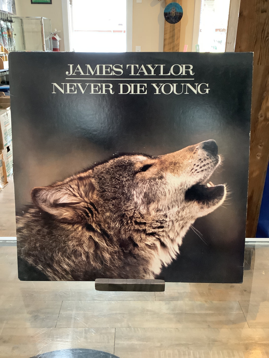 James Taylor - Never Say Die Young (Used)