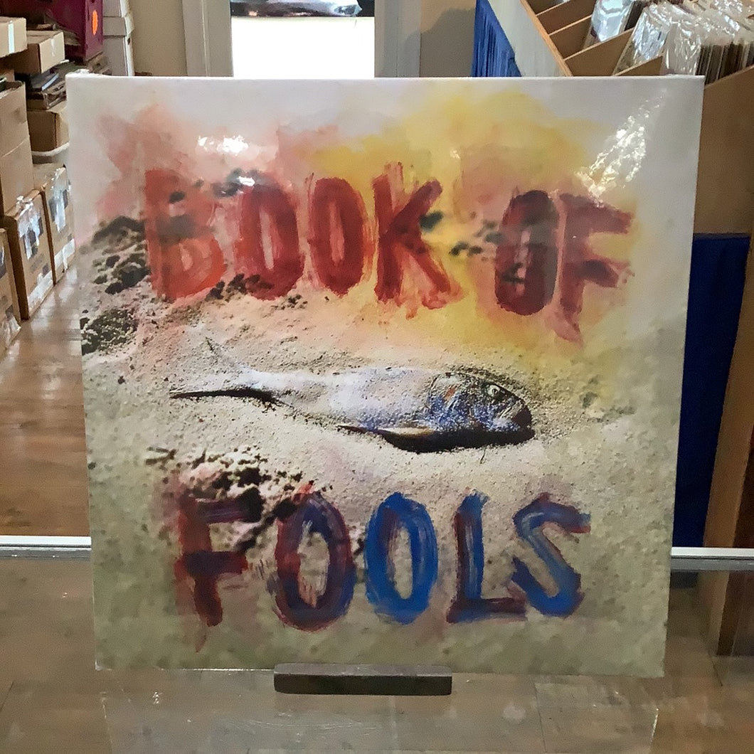 Mipso  - Book Of Fools