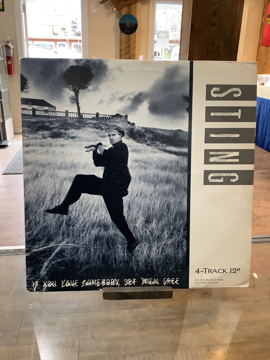 Sting - If You Love Somebody Set Them Free 12” Single (Used)